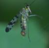 276464 – Photo : Florian ALONSO – France (69)